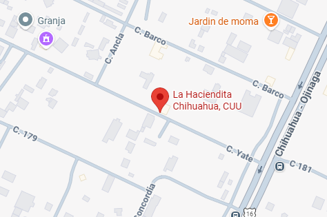 Vista previa del mapa